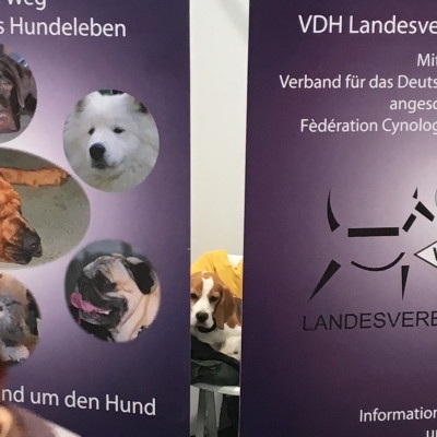 20160219_131742419_iOS