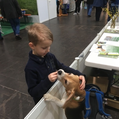 20160219_135624609_iOS