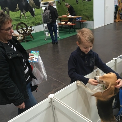 20160219_135628211_iOS