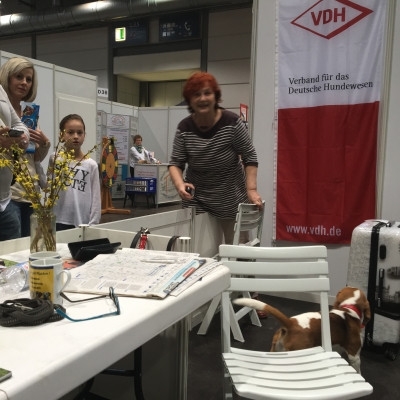 20160219_150459870_iOS