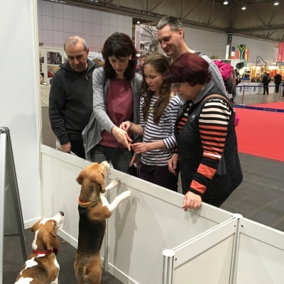 20160219_154444744_iOS