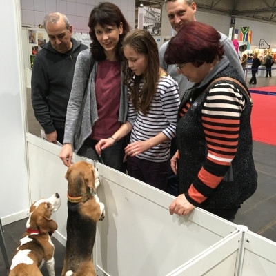 20160219_154450548_iOS