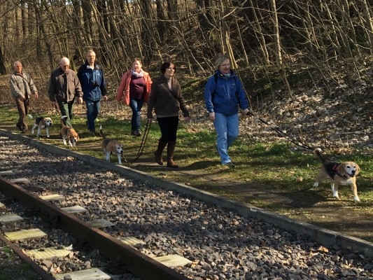 20160328_092341574_iOS