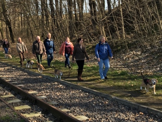 20160328_092341674_iOS