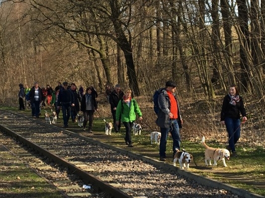 20160328_092349480_iOS