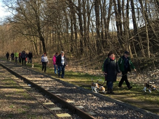 20160328_092407627_iOS