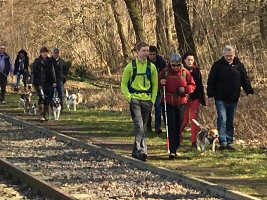 20160328_092416967_iOS