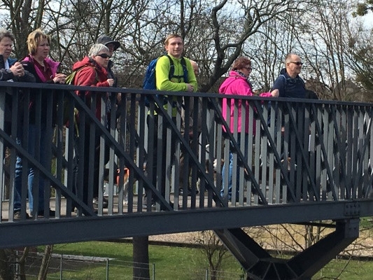 20160328_110743766_iOS