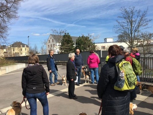 20160328_111434464_iOS