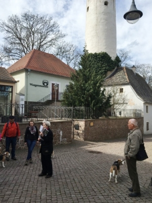 20160328_112507161_iOS