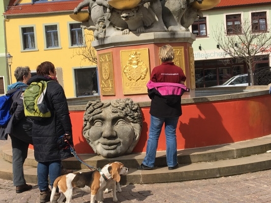 20160328_113846356_iOS