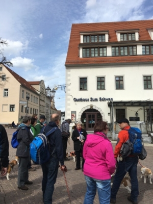 20160328_115333473_iOS