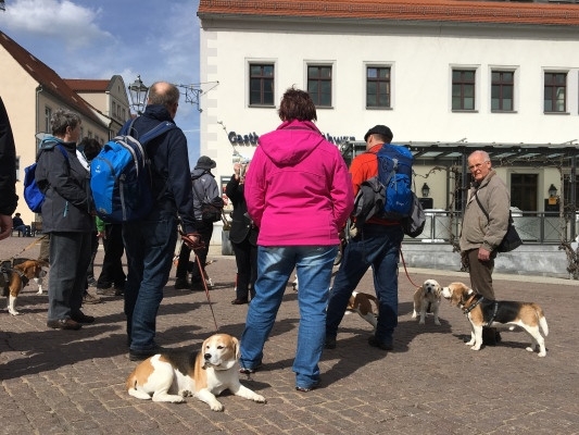 20160328_115345082_iOS