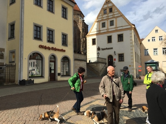 20160328_115911340_iOS