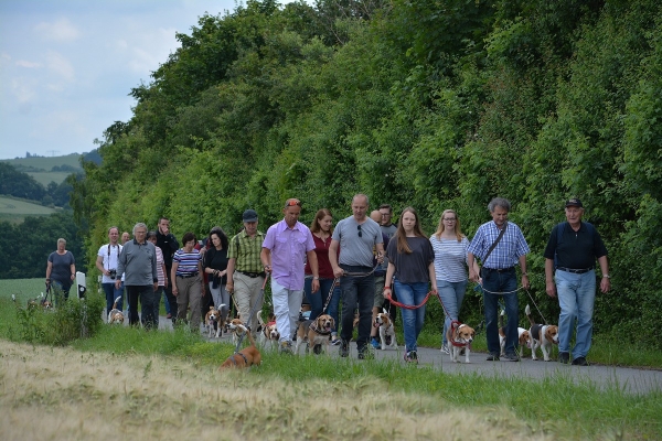 dsc_0022_20160705_2090257038