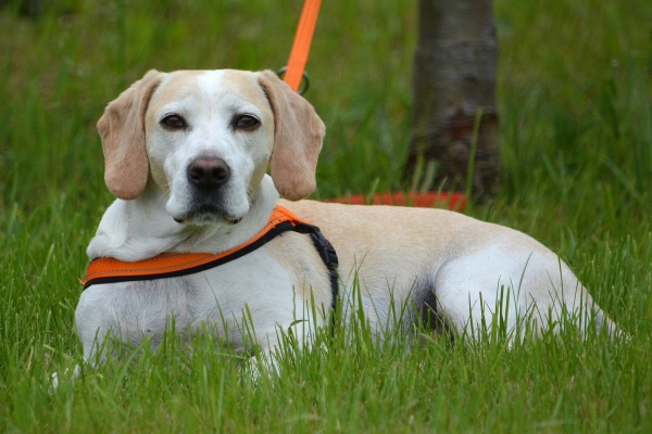 dsc_0055_20160705_1064861952