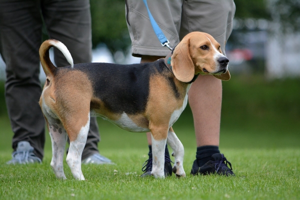 dsc_0079_20160705_1297517011