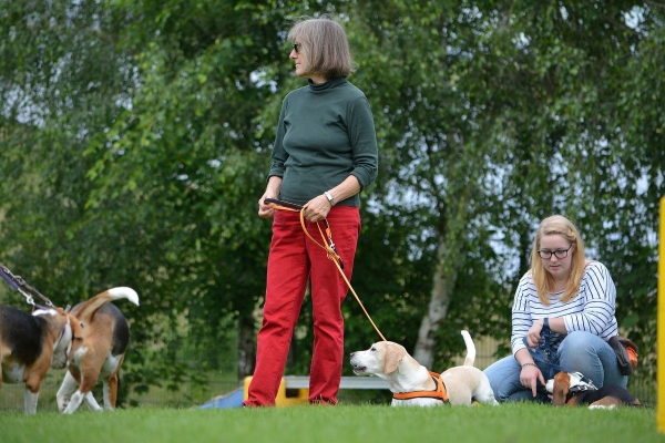 dsc_0087_20160705_2053404006