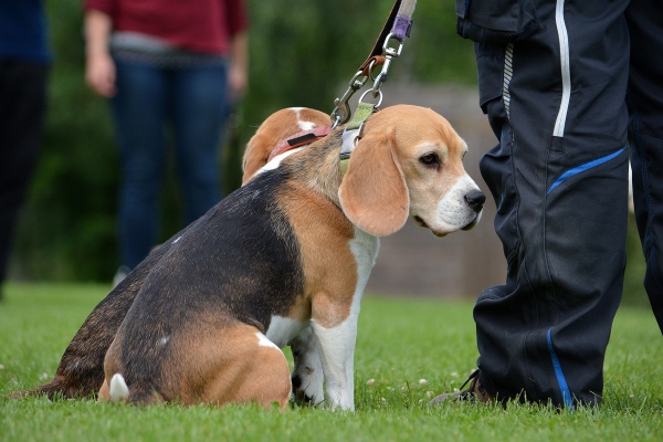 dsc_0105_20160705_1130961262