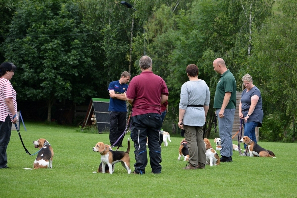 dsc_0126_20160705_1366839969