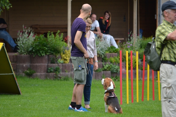 dsc_0131_20160705_1081112630