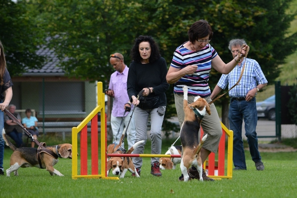 dsc_0133_20160705_1901940794