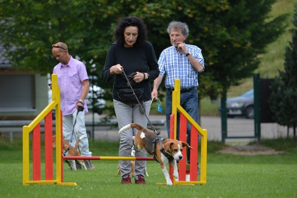 dsc_0135_20160705_1796042478