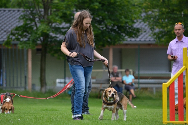 dsc_0137_20160705_1847088570