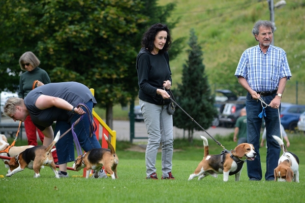 dsc_0142_20160705_1932127202