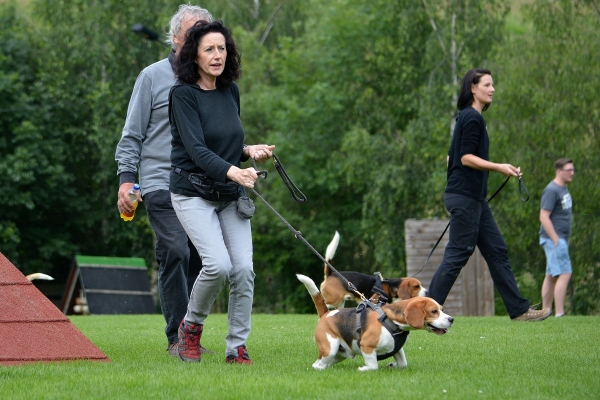 dsc_0150_20160705_1181754485