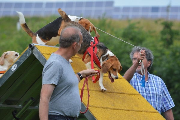 dsc_0153_20160705_2055134121