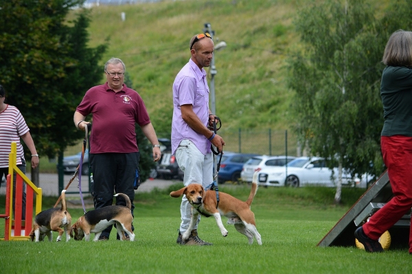 dsc_0159_20160705_1085191210