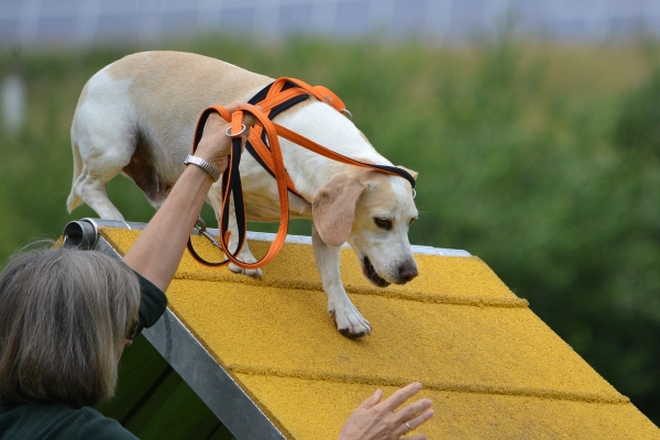 dsc_0161_20160705_1579514449