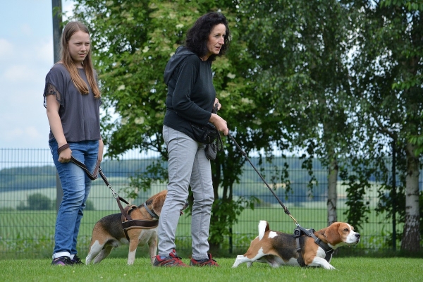 dsc_0171_20160705_1647922984