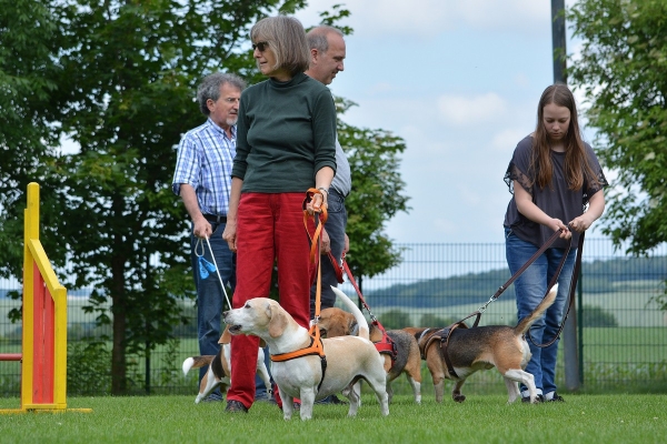 dsc_0172_20160705_1887935236