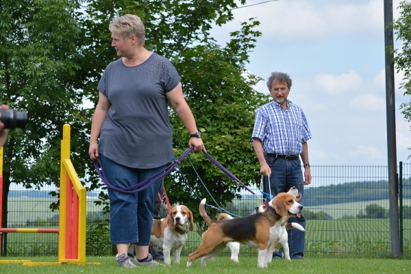 dsc_0180_20160705_1169650144