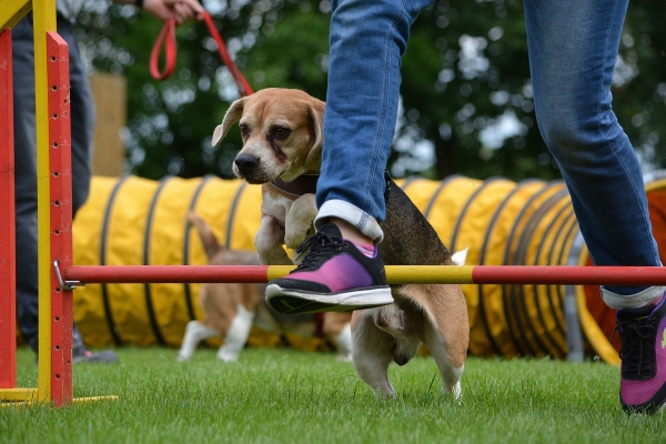 dsc_0183_20160705_1023100875