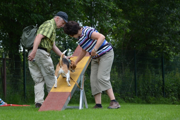 dsc_0194_20160705_1384524722