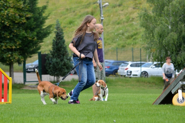 dsc_0206_20160705_1338606748