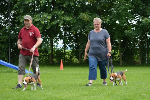 dsc_0213_20160705_1845820129