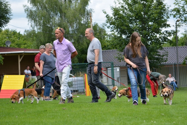 dsc_0214_20160705_2032399720