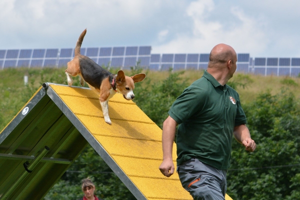 dsc_0228_20160705_1511246613