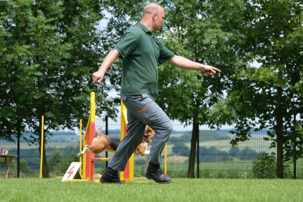 dsc_0231_20160705_1735008019