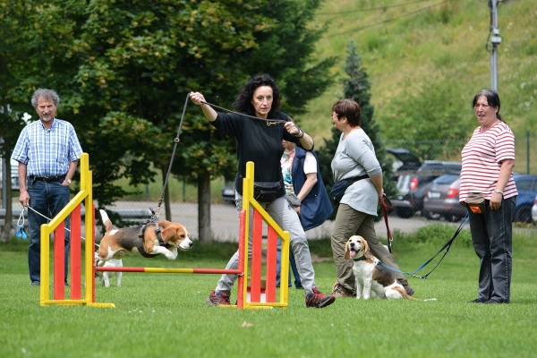 dsc_0245_20160705_1661083260