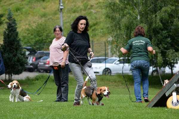 dsc_0247_20160705_1384094801