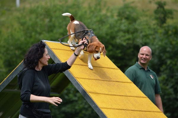 dsc_0252_20160705_1548773767