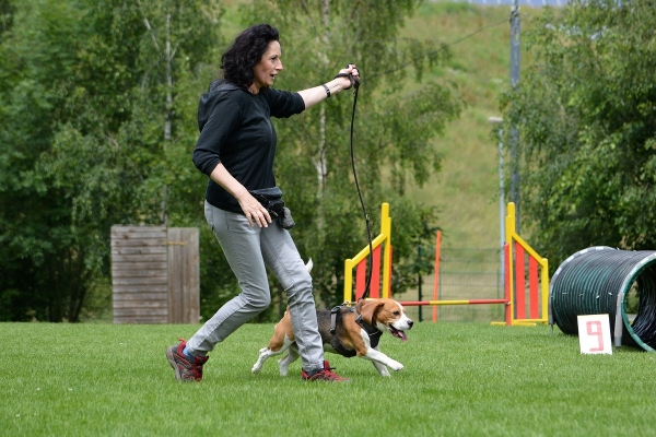 dsc_0257_20160705_1667706463