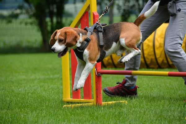 dsc_0269_20160705_1876517789