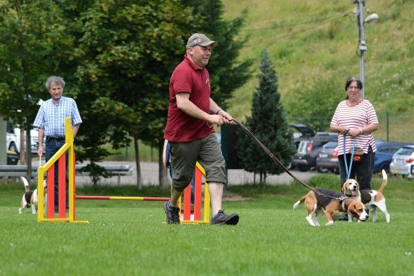 dsc_0273_20160705_1119487858