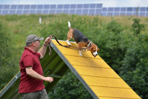 dsc_0276_20160705_2080141231